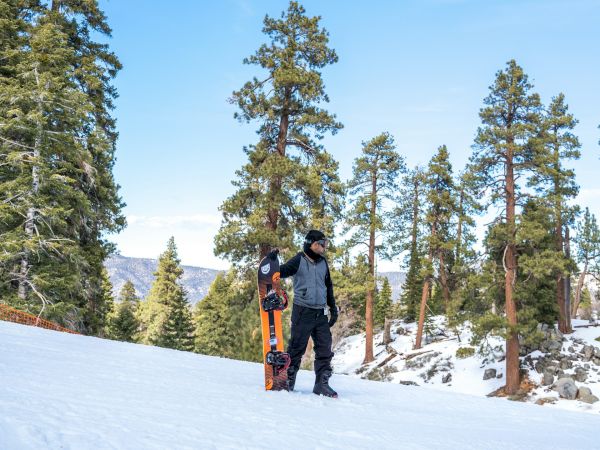 Two people walk on a snowy mountain slope with a bright sky and tall pine trees in the background.